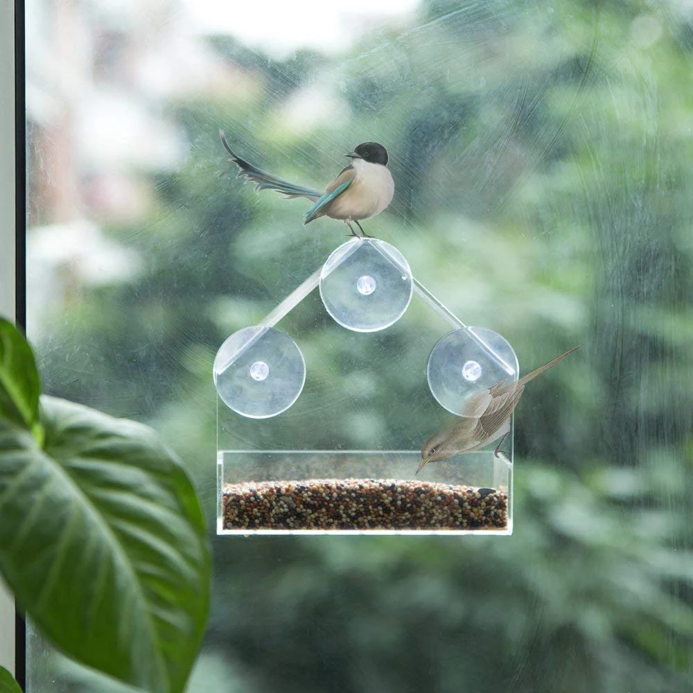Кормушка для птиц прозрачная акриловая кормушка на присоске домашних