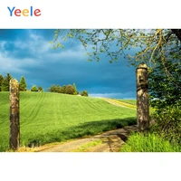 landscape backdrop pastoral rural farm green grass photography chroma key personalized photographic background for photo studio