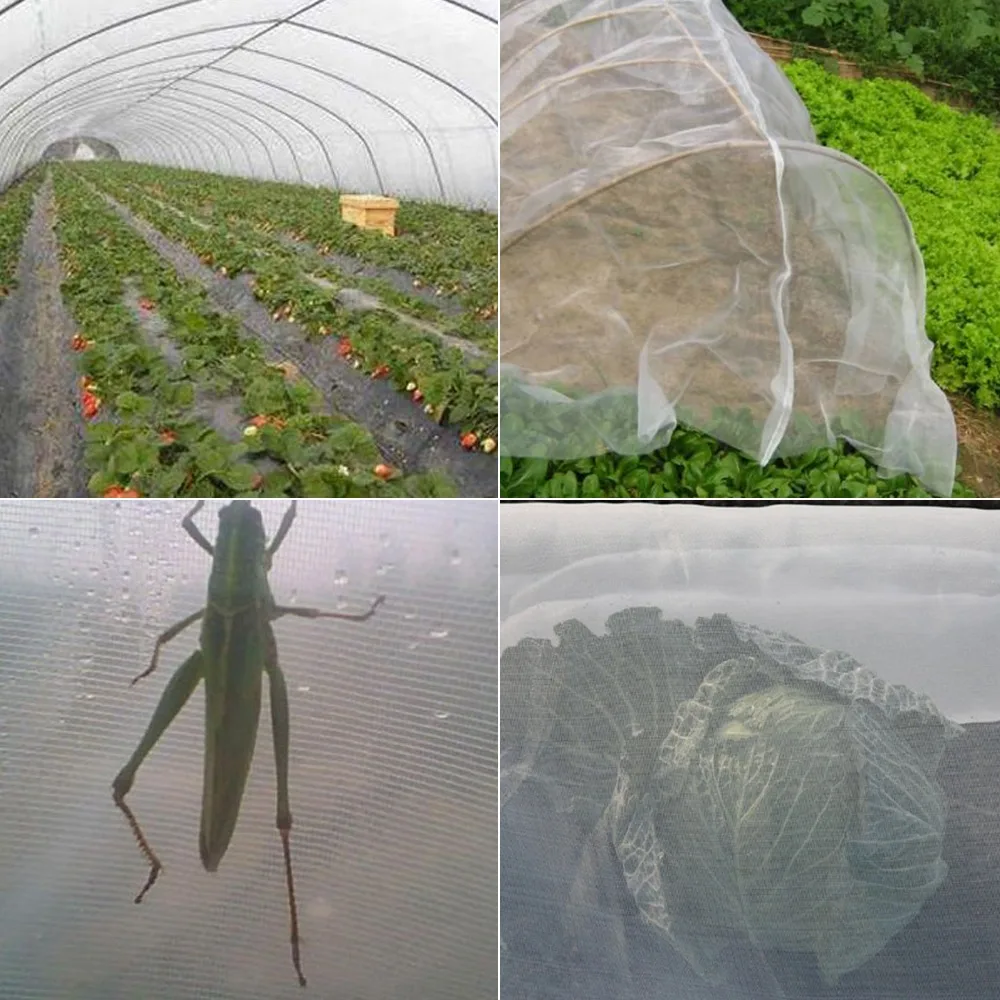 

Greenhouse Protective Net 60mesh Fruit Vegetables Care Cover Insect Net Plant Cover Net Garden Pest Control Plant Potection Net