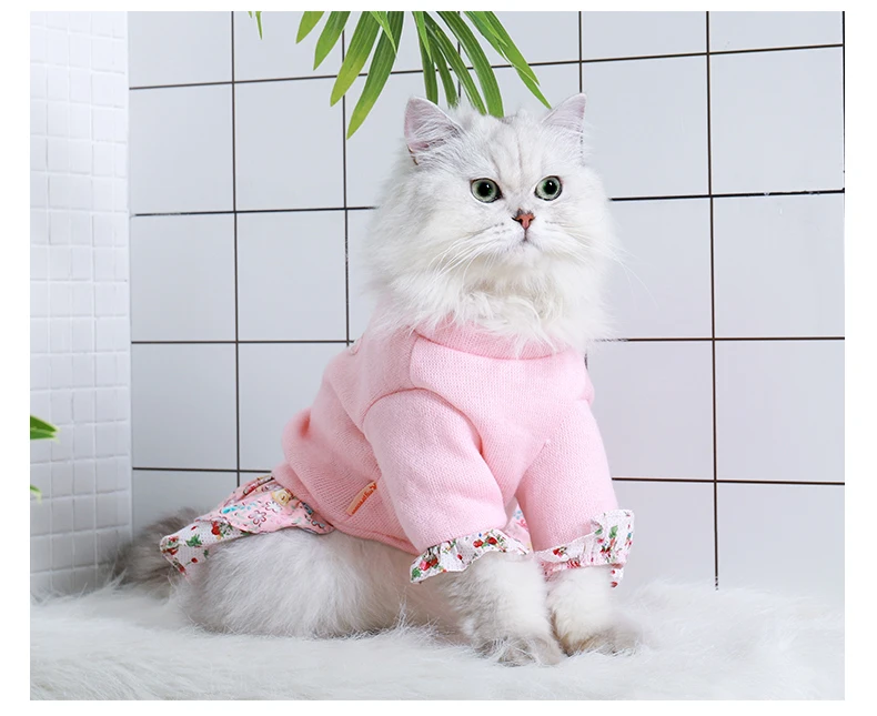 HOOPET Одежда для кошек собак осень зима теплая одежда для домашних животных свитер платье для маленьких собак кошки костюм для чихуахуа кошка пальто костюм
