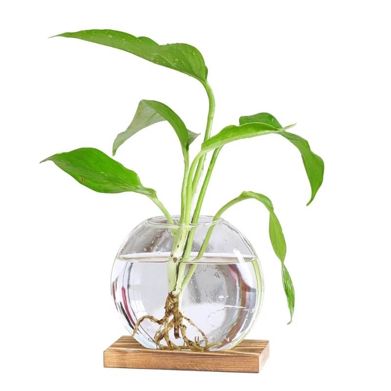 

Desktop Round Crystal Glass Planter Terrarium with Retro Solid Wooden Stand Wedding Flower Vase Decor for Hydroponics