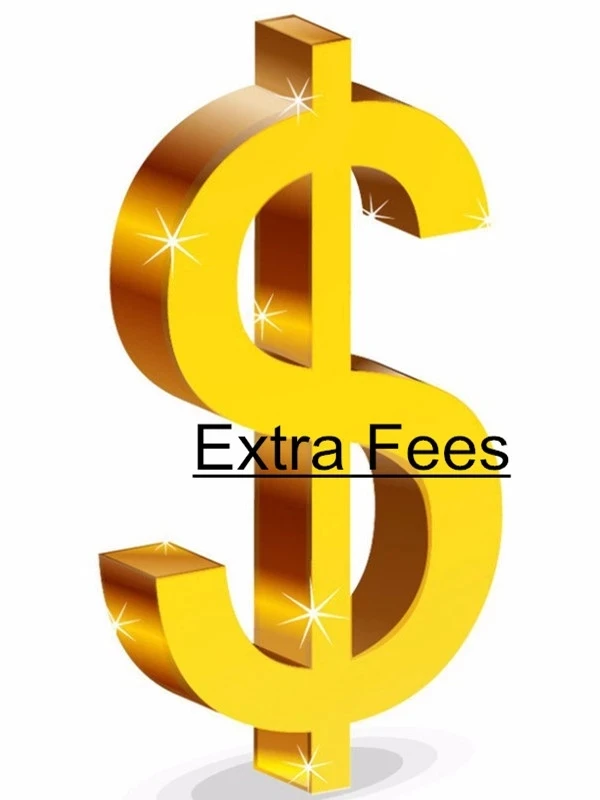 

Extra Fee/Extra expense/Premium/Price difference/Postage/Shipping cost/To pay/An additional amount of money/A sum of money/USD 1