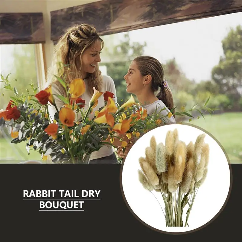 

60Pcs Rabbit Tail Grass Bunny Tails Dried Flower Bouquet Lagurus Flower Arrangement Supplies Photography Props Home Decoration