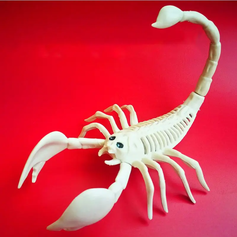 

Animal Skeleton Model Bat/Spider/Scorpion/Lizard Bones Halloween Party Decoration