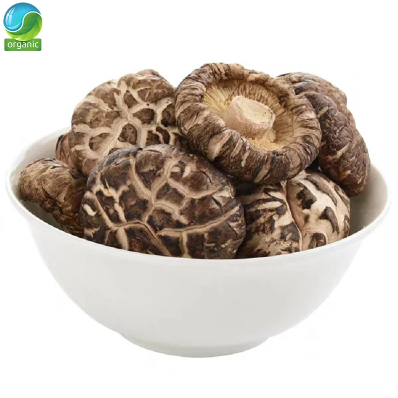 

Flower Mushroom Organic Dried Flower Shiitake Mushrooms Mushroom; Shiitake Mushroom; Premium Mushroom Powder