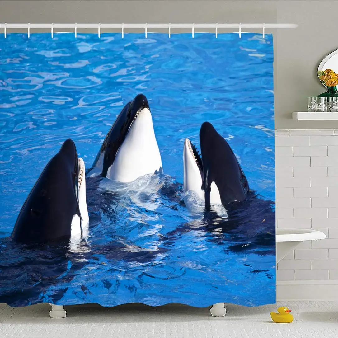 Штора для душа с крючками 66x72 Три в Диего Убийца Голова Хищник Киты Тихого океана Бассейн, называемый животным оркой животных дикой природы.