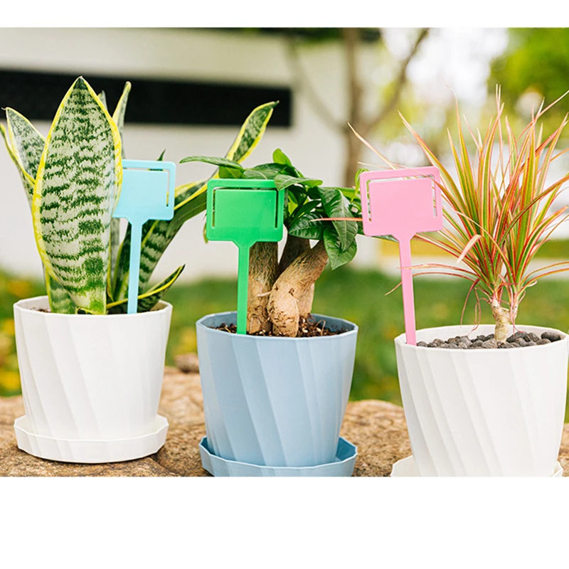 Садовый цветочный горшок 17 см пластиковая этикетка для суккулентов