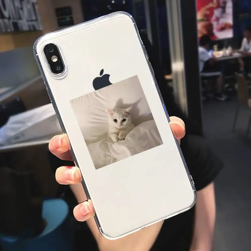 

Cute animal cat art design Phone Case Transparent soft For iphone 5 5s 5c se 6 6s 7 8 11 12 plus mini x xs xr pro max
