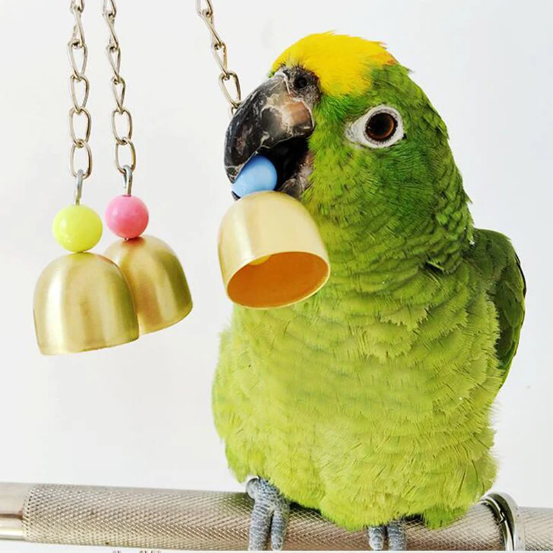 Cockatiel Parrot Toys Steel Hanging Bell Cage for Parrots Bird Squirrel Funny Chain Swing Toy Pet Supplies | Дом и сад