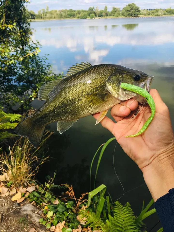 Рыболовная приманка KESFISHING 2019 14 см 5g 10 шт. | Спорт и развлечения