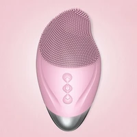 face cleaning electric brush household facial massagers pore cleaner skin care tool massage tools beauty equipment usb care tool