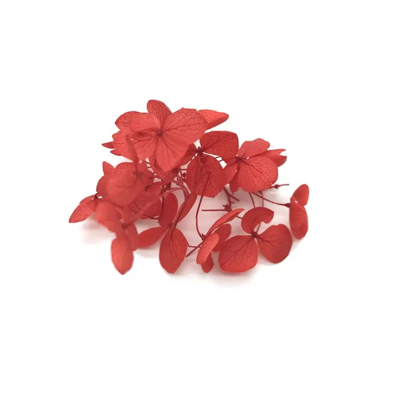 1 коробка сухого цветка DIY изделия из эпоксидной смолы ручной работы наполнитель