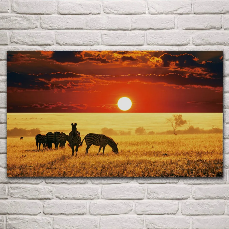 Zebra дикая природа африканская Саванна закат облака животные искусство