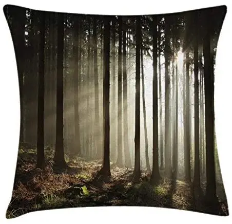 

Pooizsdzzz Fore Throw Pillow Cushion Cover, Sunlights Entering Coniferous Fore on a Miy Autumnal Morg Scenery Picture Decorative