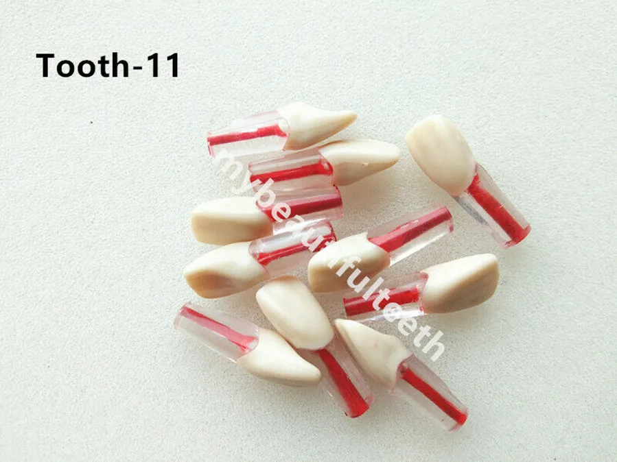 5 шт./лот стоматологические эндокорневые пульпы для корневых каналов