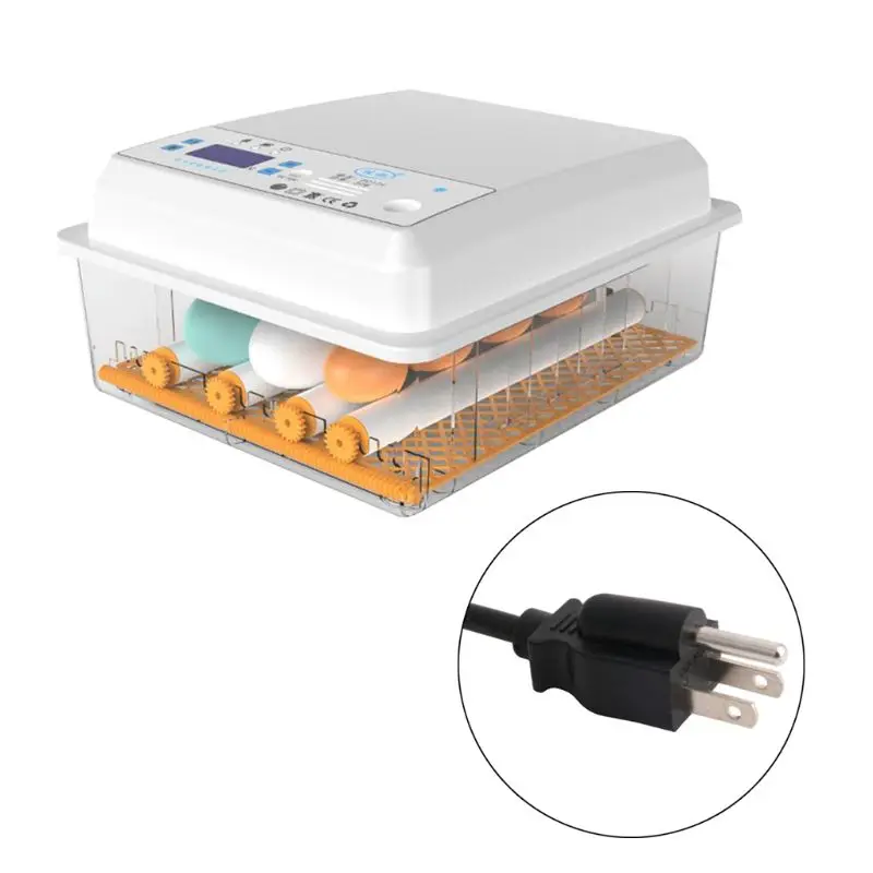 220 В инкубатор яиц Брудер птицы перепелиный цыпленок Тернер|Принадлежности для