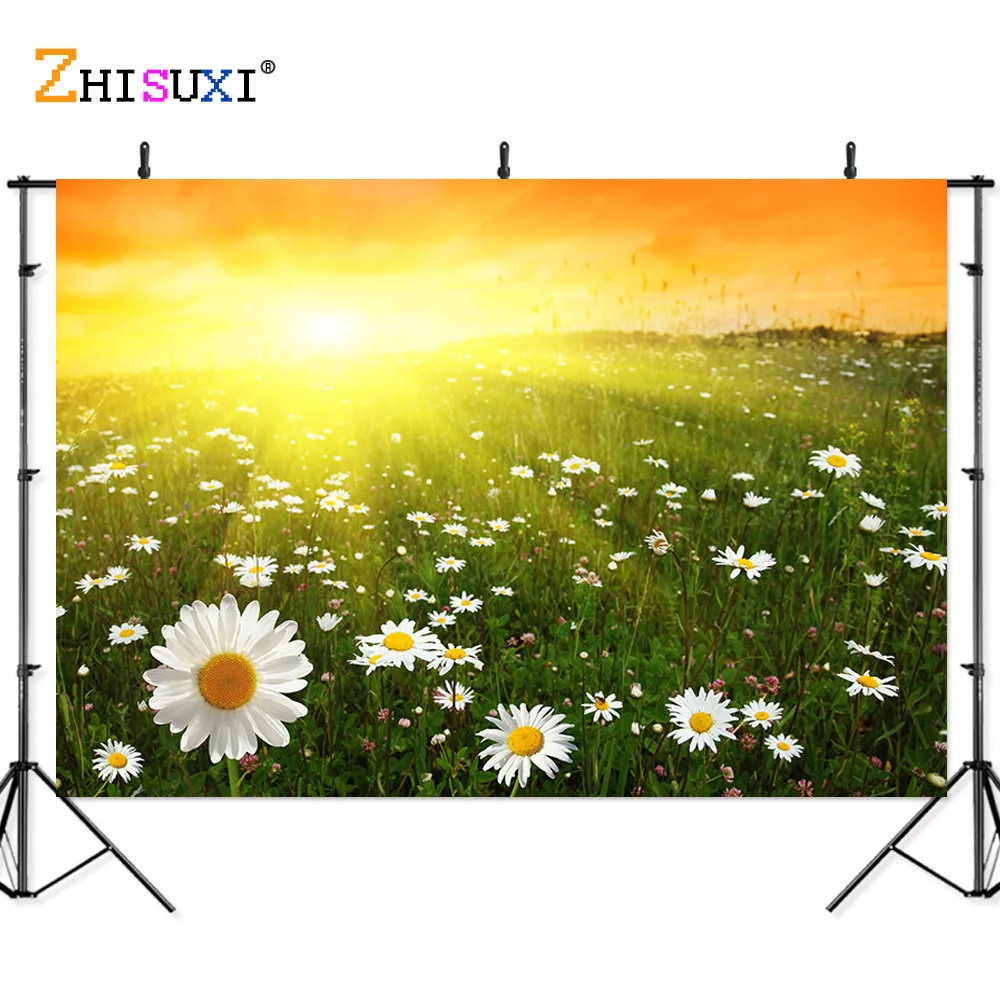 

Natural Scenery Photography Background Forest Wheat Field Landscape Travel Photo Backdrops Studio Props 21512 ZRFJ-02