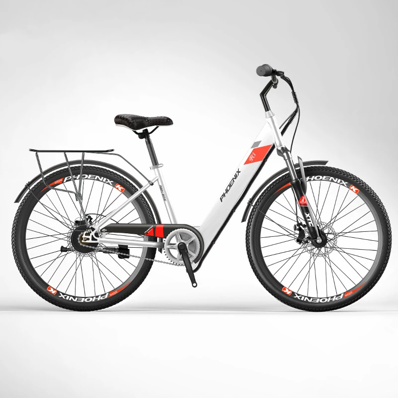 

Электрический горный велосипед, 250 Вт, 15 Ач, 36 В, литиевая батарея, одна скорость, для взрослых