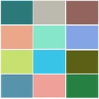 Специализированный реквизит виниловые задники для фотосъемки однотонные одиночные простые фон для фотостудии с изображением на тему 210215 SG-02