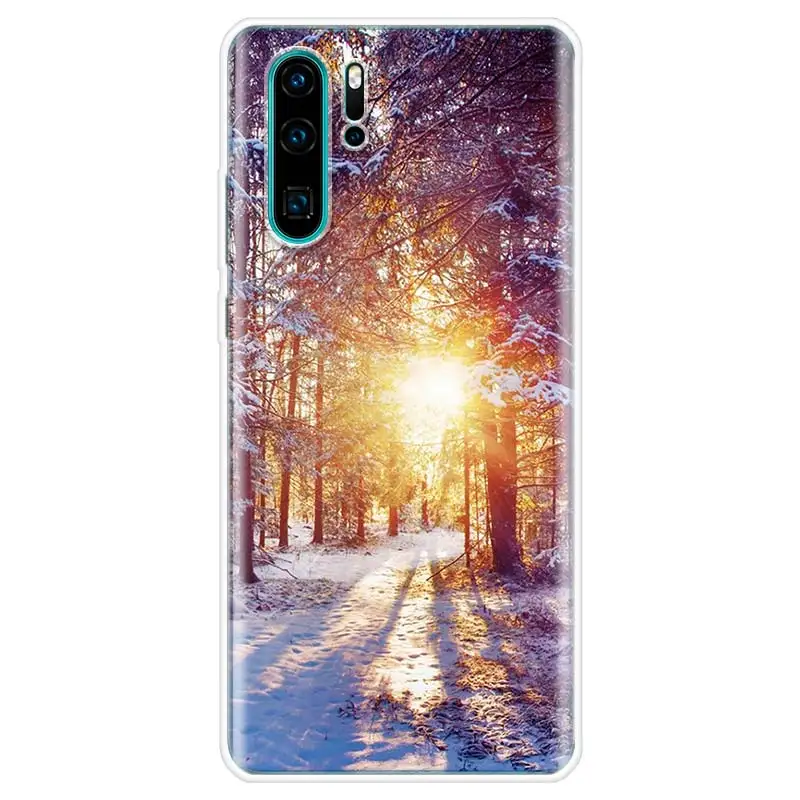 Чехол для телефона с изображением пейзажа и снега Huawei P10 P20 P30 P20Pro P30Lite P30Pro P Smart Z Mate