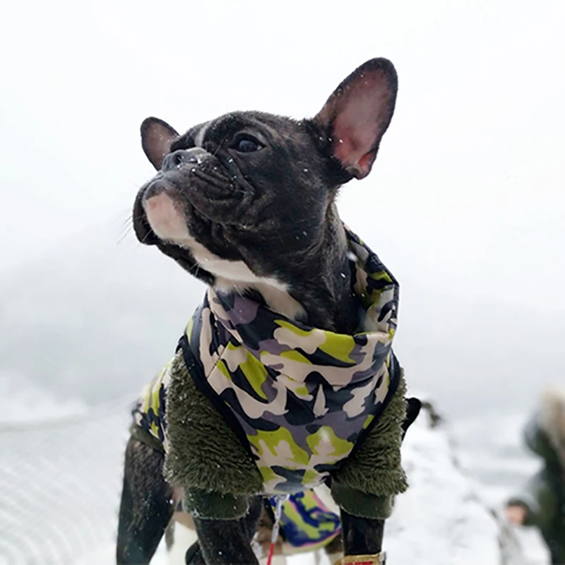 

Waterproof Dog Clothes Winter Pet Jacket Cotton Warm Camouflage Vest For Small Dogs Puppy Coat French Bulldog Clothing Cat Suit