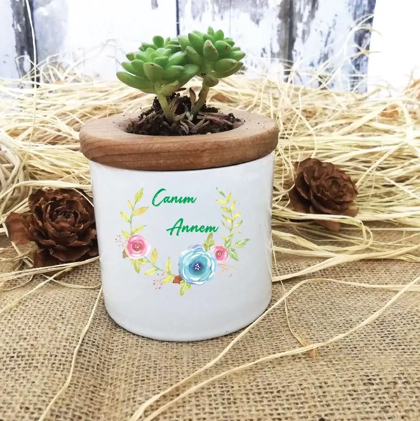 

Dear Mom Design Custom Vivid Sukulent -13 In Pots