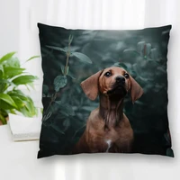 hot sale custom decorative pillowcase animal dachshund dog square zippered pillow cover best nice gift 20x20cm 35x35cm 40x40cm