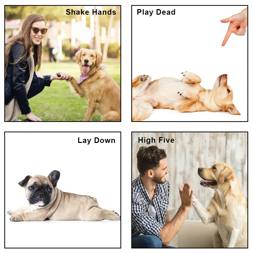 Регулируемый ремешок на запястье для тренировки собак и кошек 1 шт. | Дом сад