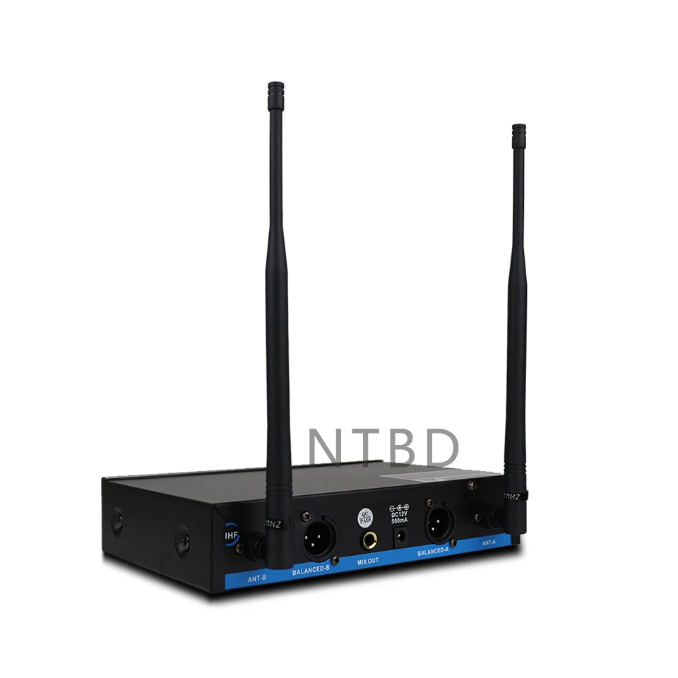NTBD сценическая производительность хип-хоп домашний KTV вечерние UHF-100 профессиональная двойная Беспроводная микрофонная система динамический 2 канала 2 ручной