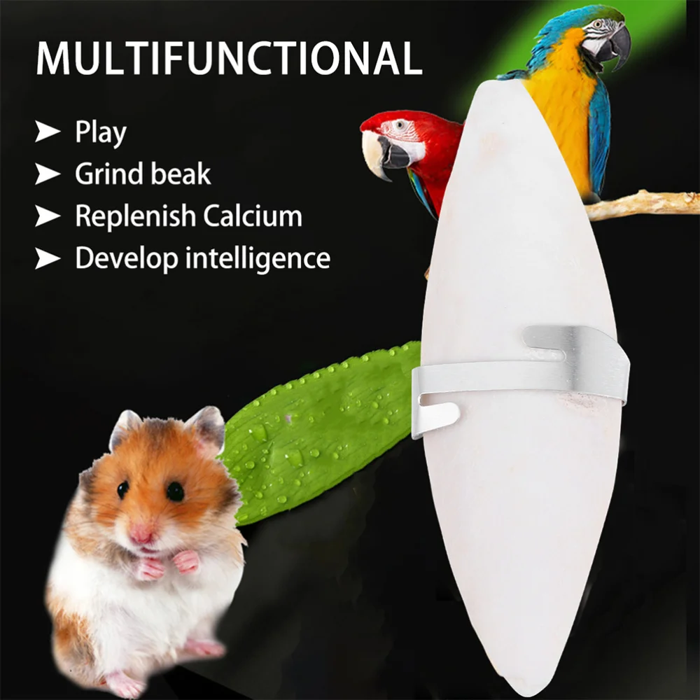 

12pcs Pet Chewing Hamster Teeth Molar Cuttlefish Bone with 12 Hooks