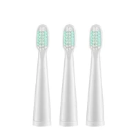 electric rechargeable sonic toothbrush