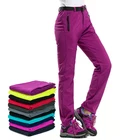 Женские эластичные брюки для походов, зимние уличные спортивные флисовые брюки из софтшелла для катания на горных лыжах, водонепроницаемые брюки для женщин