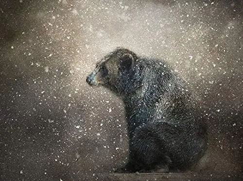 

Landscape Metal Sign Retro Man Cave Home Wall Decoration 12X16 inch