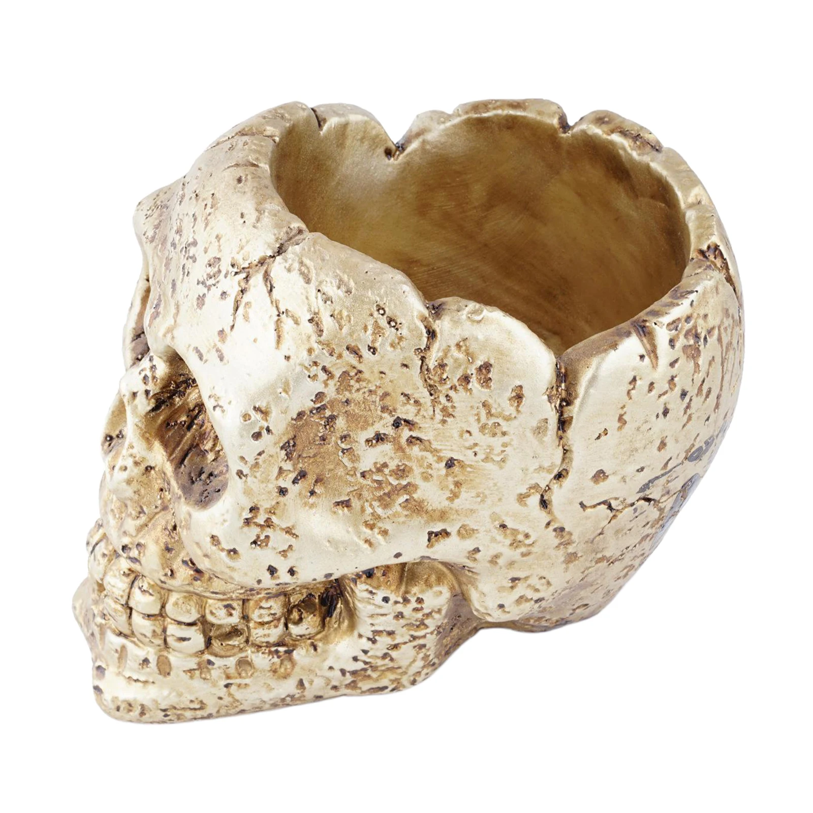 Смола в виде черепа из тонкого и сочные ящик для комнатных растений кактус-горшок