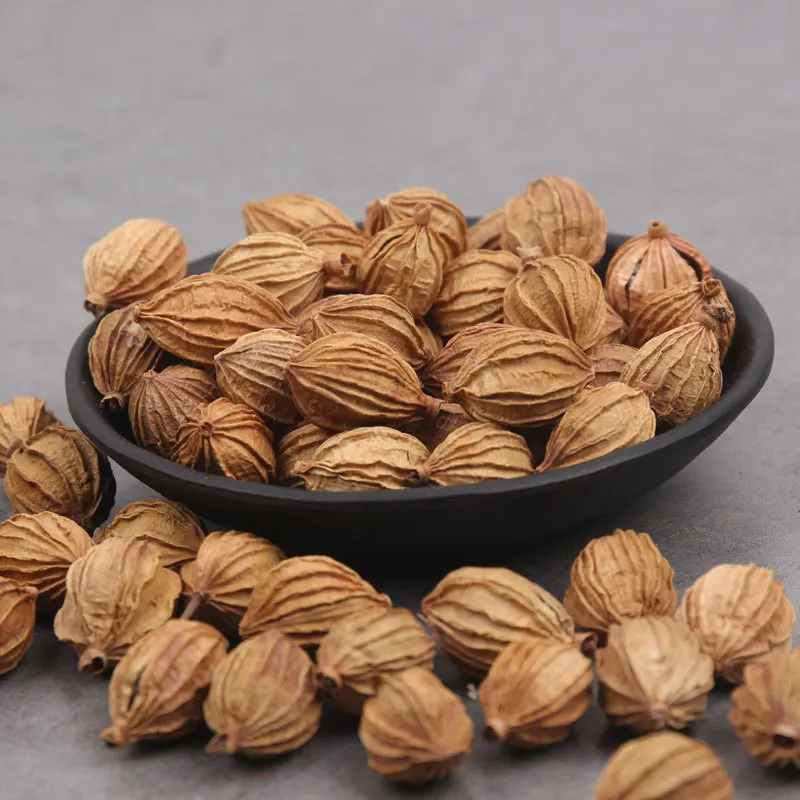 

Fragrant Sand,Scented Sand,Xiang Sha,Cockleburlike Amomum Fruit,Fructus Amomi