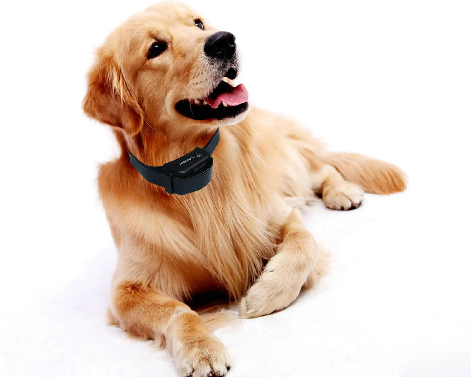 

Pet Fence Dog Underground Electric Fencing System Dog Training Collar Device Outdoor Fences Electronic Collar