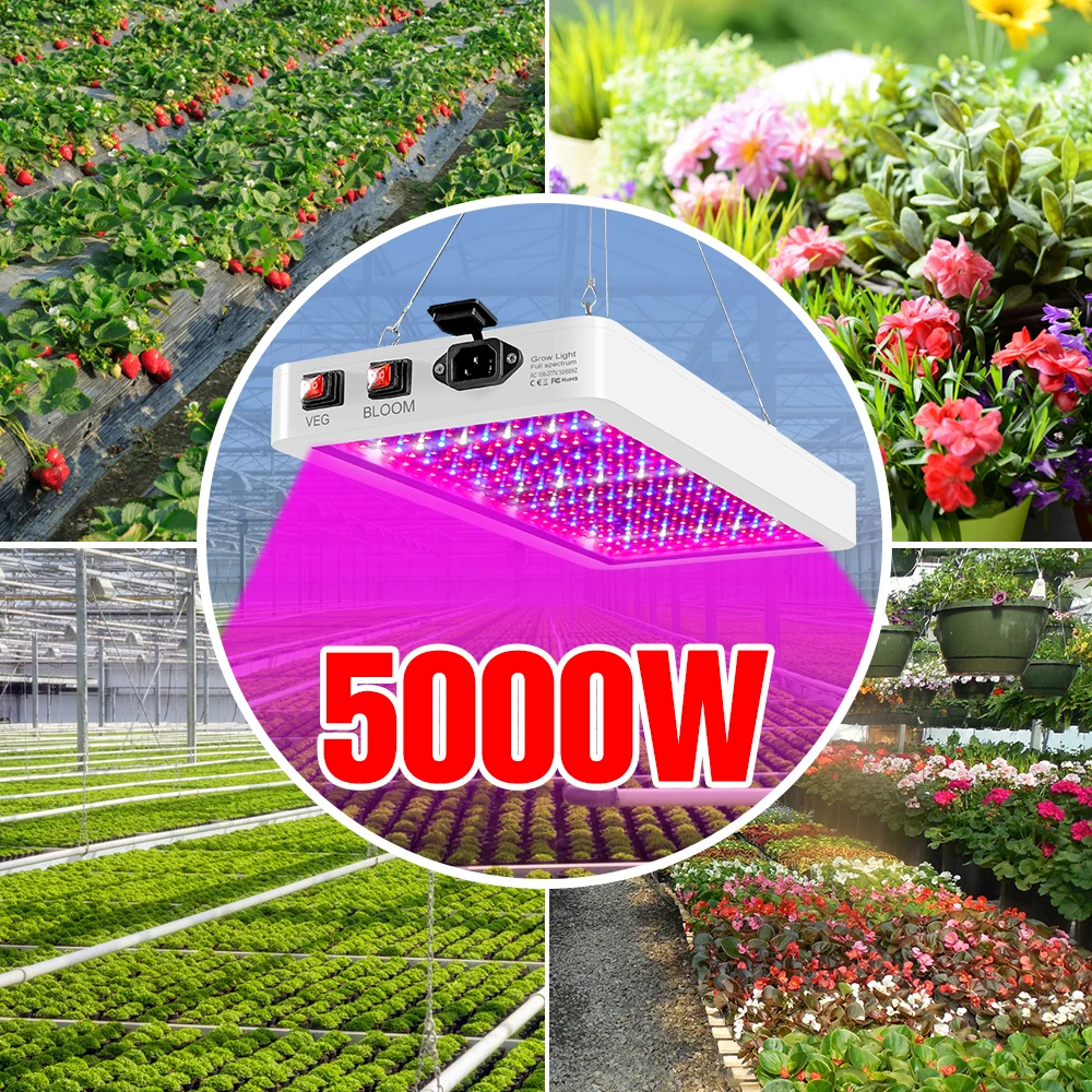 

Full Spectrum LED Grow Light 220V Plant Bulbs 110V Hydroponic Lamp 4000W 5000W Greenhouse Fito Lamps Flower Growth Lighting Box