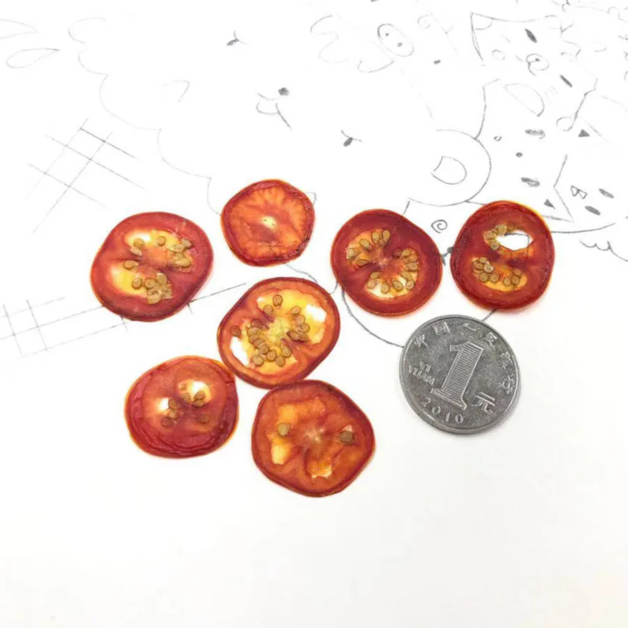 

12pcs Dried Pressed Exopy Tomato Vegetable Slices Plant Herbarium For Jewelry Photo Frame Phone Case Craft Bookmark DIY Making