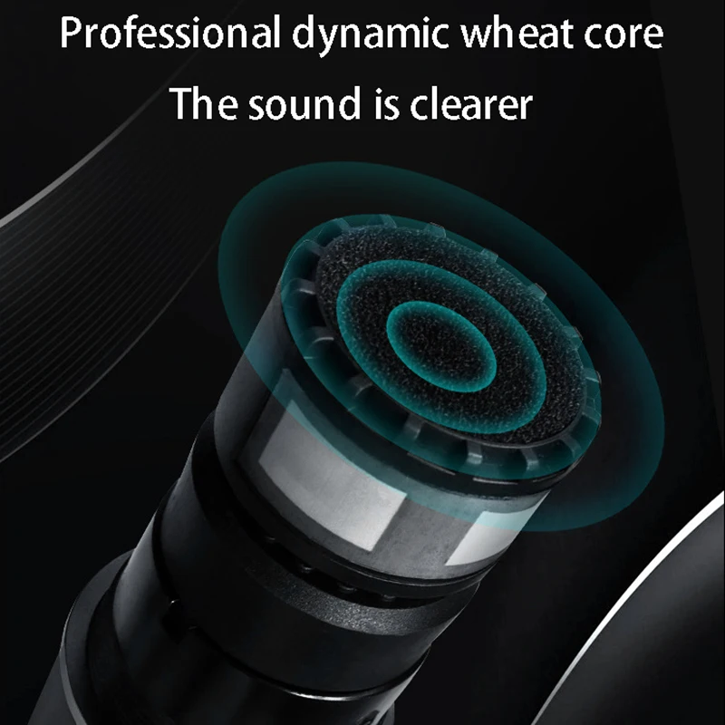 

Wireless Microphone System with Receiver for Amplifier Mixer Speaker Desktop Bus Audio