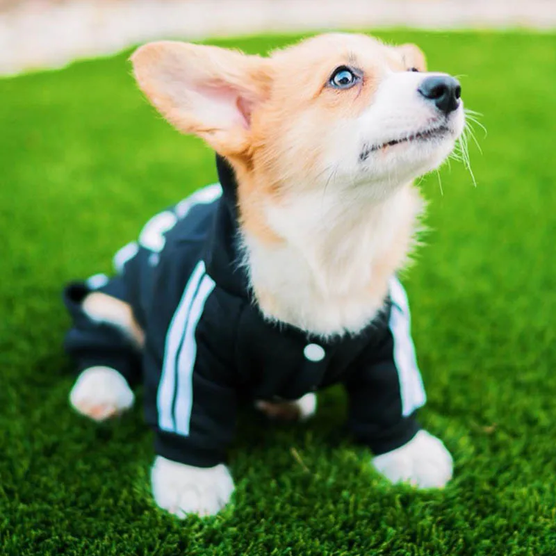 

Pet Clothes French Bulldog Puppy Dog Costume Pet Jumpsuit Chihuahua Pug Pets Dogs Clothing for Small Medium Dogs Puppy Outfit