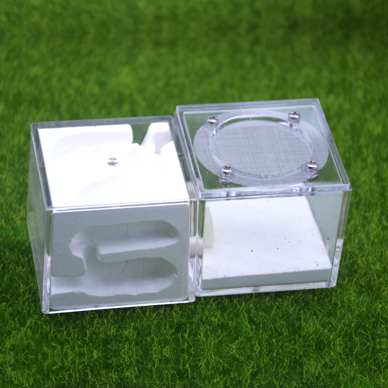 Гипсовые муравьиные гнезда муравьиная Ферма для живых муравьев маленький дом