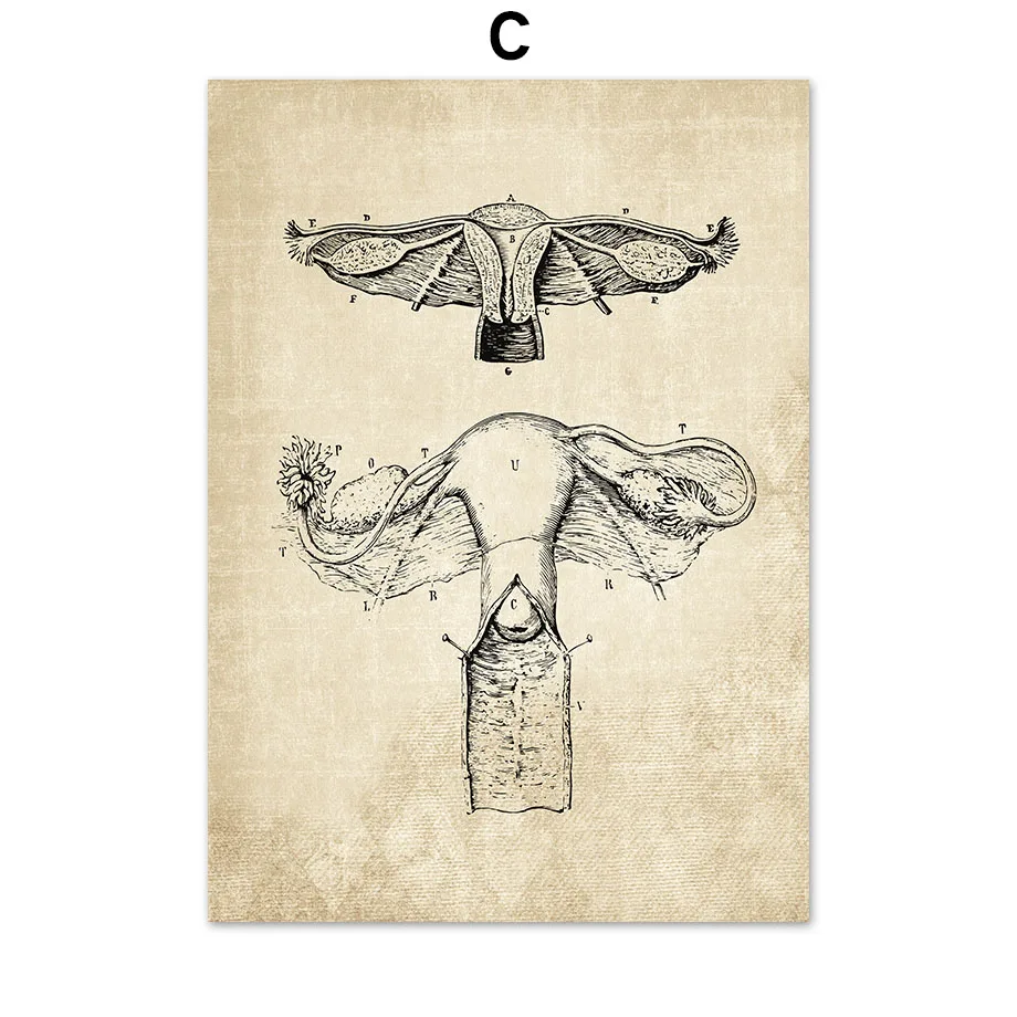 

Wall Art Canvas Painting Anatomy Skeleton Nordic Posters And Prints Vintage Wall Pictures For Hospital Doctor Office Decor
