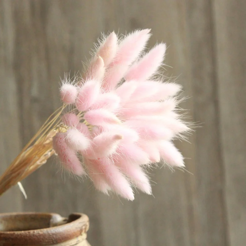 30 шт./лот натуральный кроличий хвост трава сушеные цветы украшение для