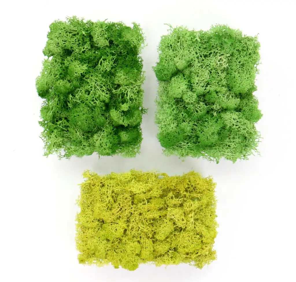 Искусственные зеленые растения вечный цветок Искусственный мох трава украшение