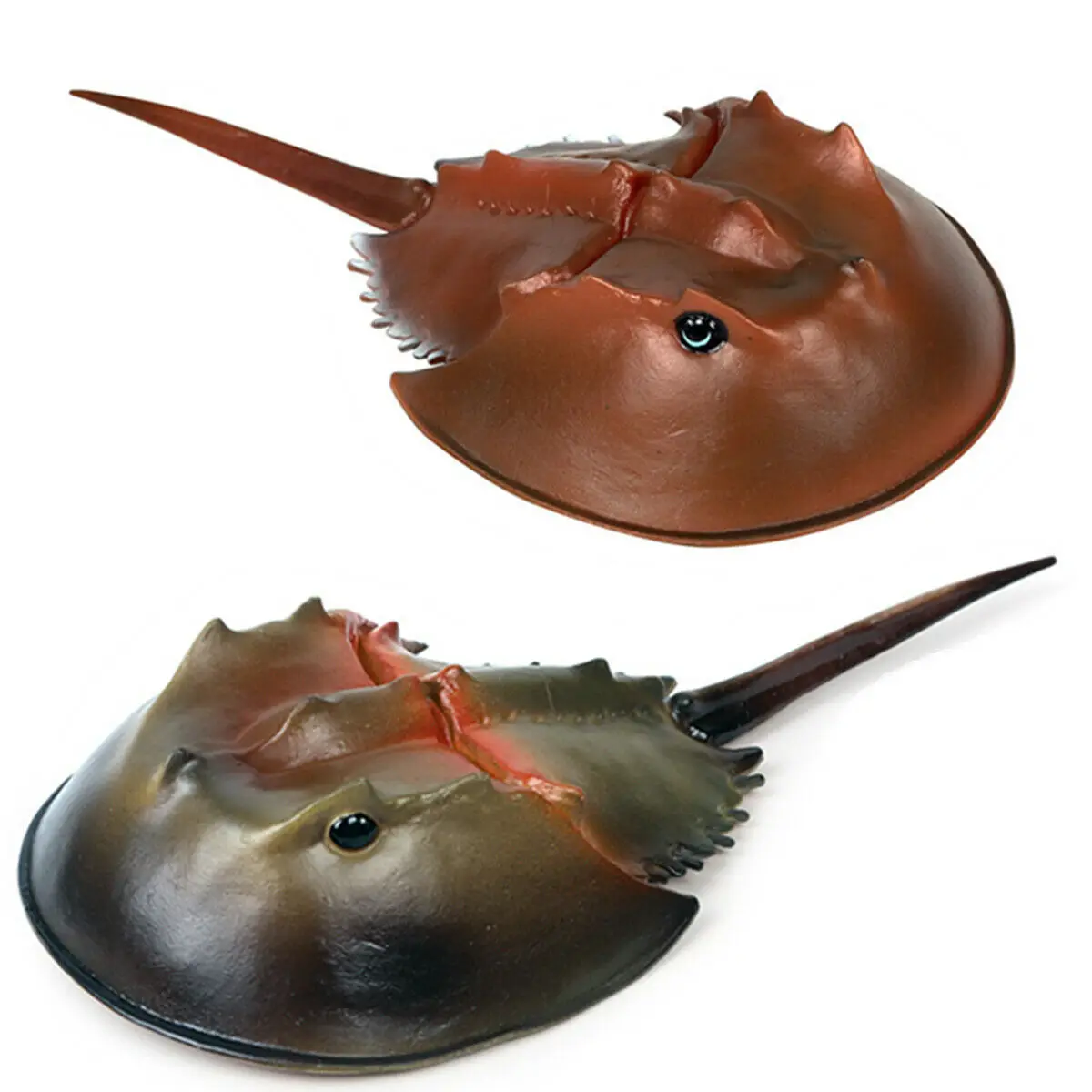 

Simulation Tachypleus Tridentatus Figure Ocean Animal Model Toy Collector Decor Kids Gift Model Decor Sea Animals Models