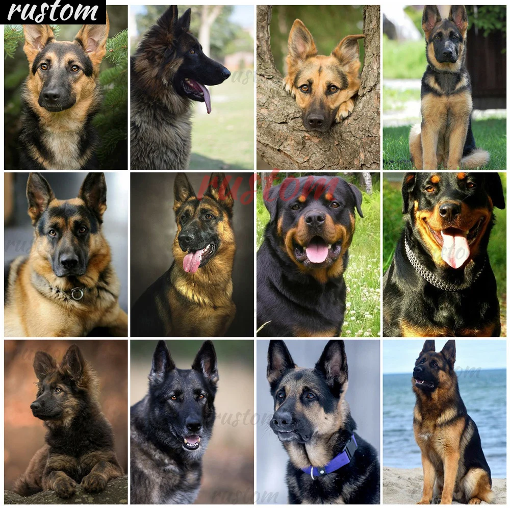 

Rustom Mosaic Diamond painting Dog Picture Rhinestones Diamond Painting Animal Bead Embroidery Cross Stitch Wall Art