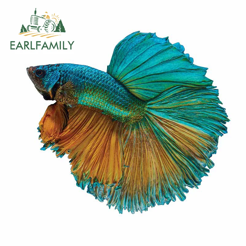 

EARLFAMILY 13 см x 11,8 см для увлекательного наклейка на машину, мотоцикл ноутбук Водонепроницаемый Camper доски для серфинга личность украшения