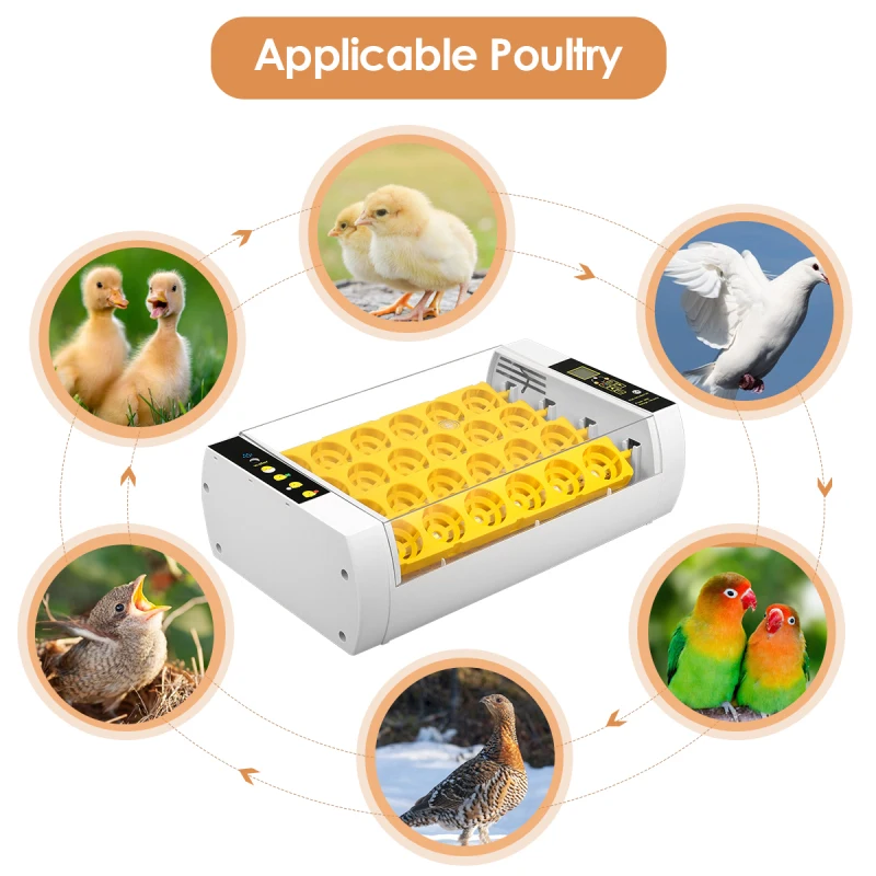 

Automatic Egg Incubator Hatch Machine Temperature Control Function Automatic Egg Turning For Chicken Duck Goose Quail Eggs