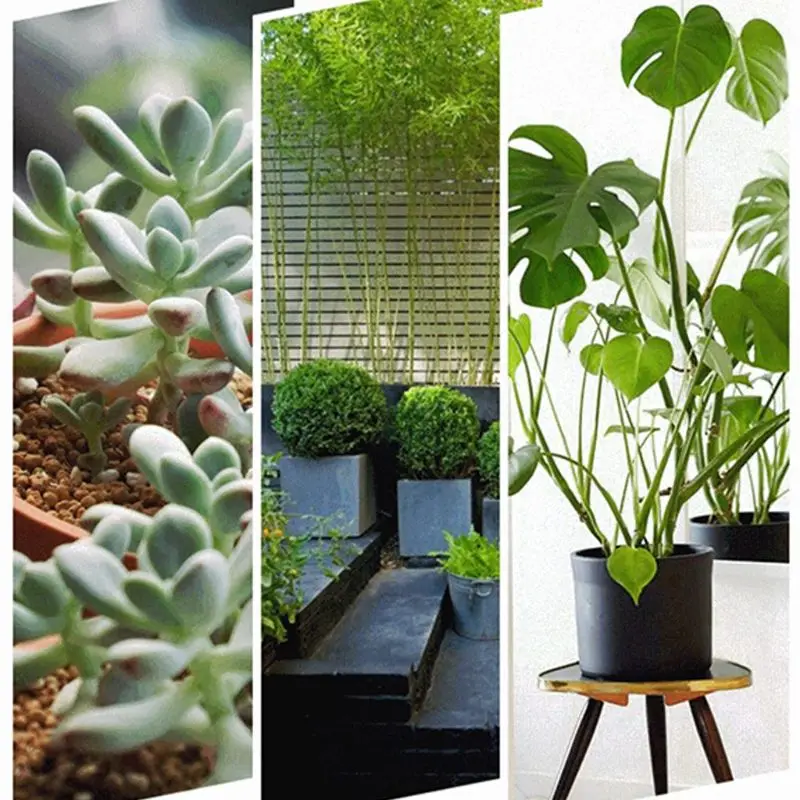 

4 Pcs Garden Camping Outdoor Weeding Spade Outdoor Traveling Prospecting Trowel