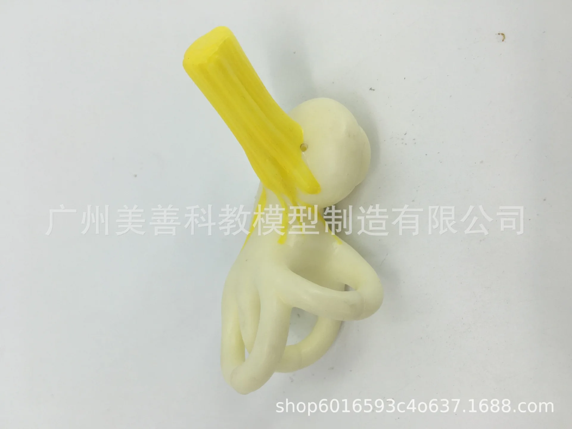 Медицинская модель для ушей Анатомия человека семикулярный канал кохлеарного